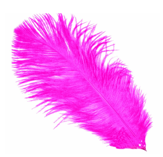 Message Feather Massage feather 40/45 cm | Accessories for massage