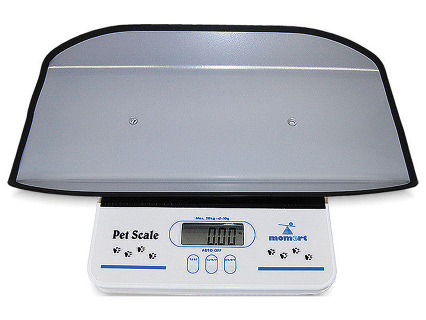 Scales