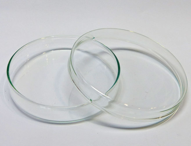 Placa de Vidrio corriente 100 x 20 mm | Placas Petri de vidrio