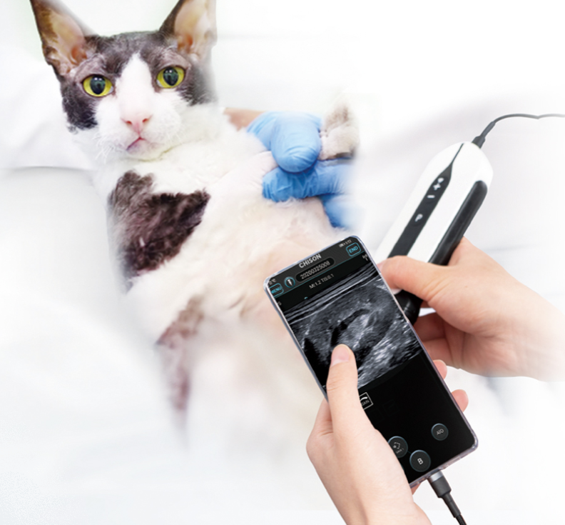 Ecógrafo portátil CHISON SonoEye P1 Vet sonda lineal 14MHz + Tablet de regalo Ecógrafo portátil CHISON SonoEye P1 Vet sonda lineal 14MHz + Tablet de regalo
