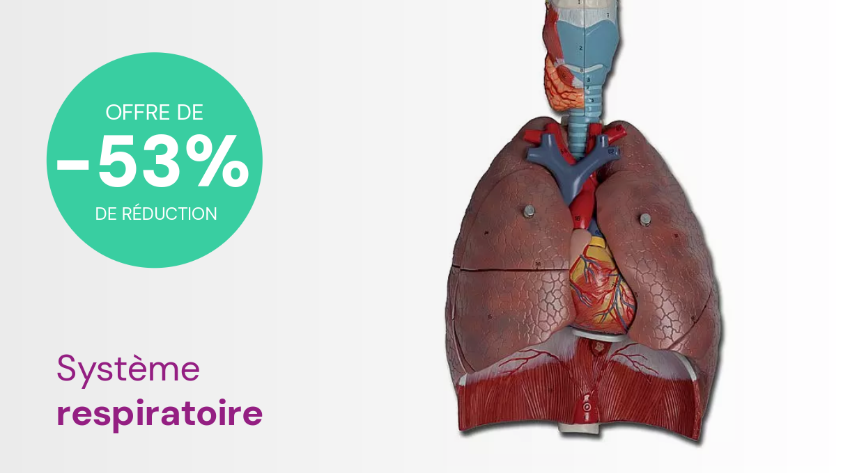 Matériel de formation médicale