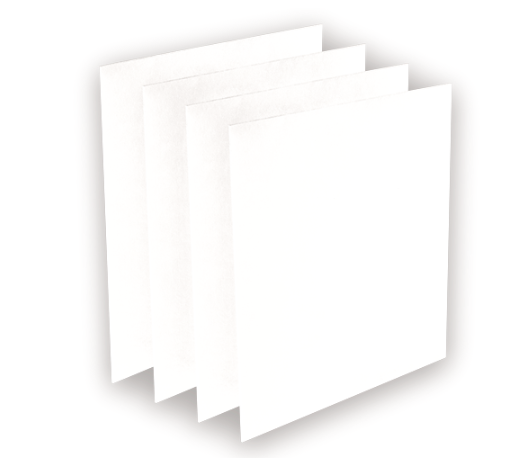Pack de 4 prefiltros para AeraMax Pro AM-III y AM-IV Pack de 4 prefiltros para AeraMax Pro AM-III y AM-IV