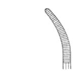 Pinza hemostática Spencer-Wells/Jones curva. Varias medidas Pinza hemostática Spencer-Wells/Jones curva. Varias medidas