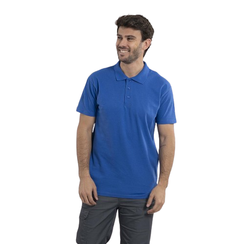 Men's short sleeve polo shirt. Various sizes and colors.