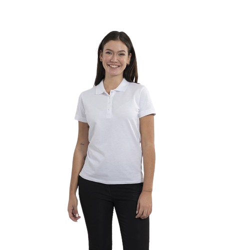 Women's short sleeve polo shirt. Various sizes and colors.