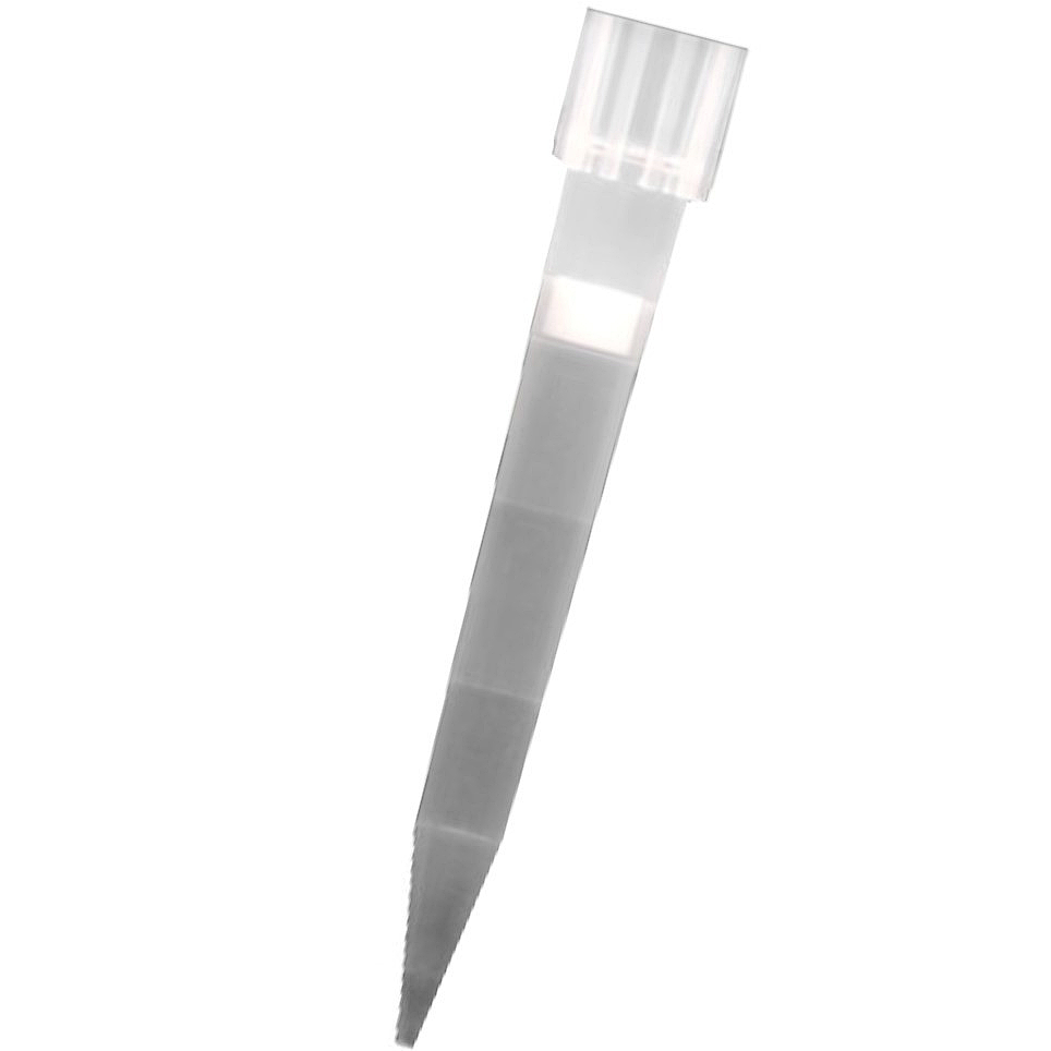 Rack 96 puntas Eppendorf estériles con filtro, micropipetas de 20-300 microlitros Rack 96 puntas Eppendorf estériles con filtro, micropipetas de 20-300 microlitros