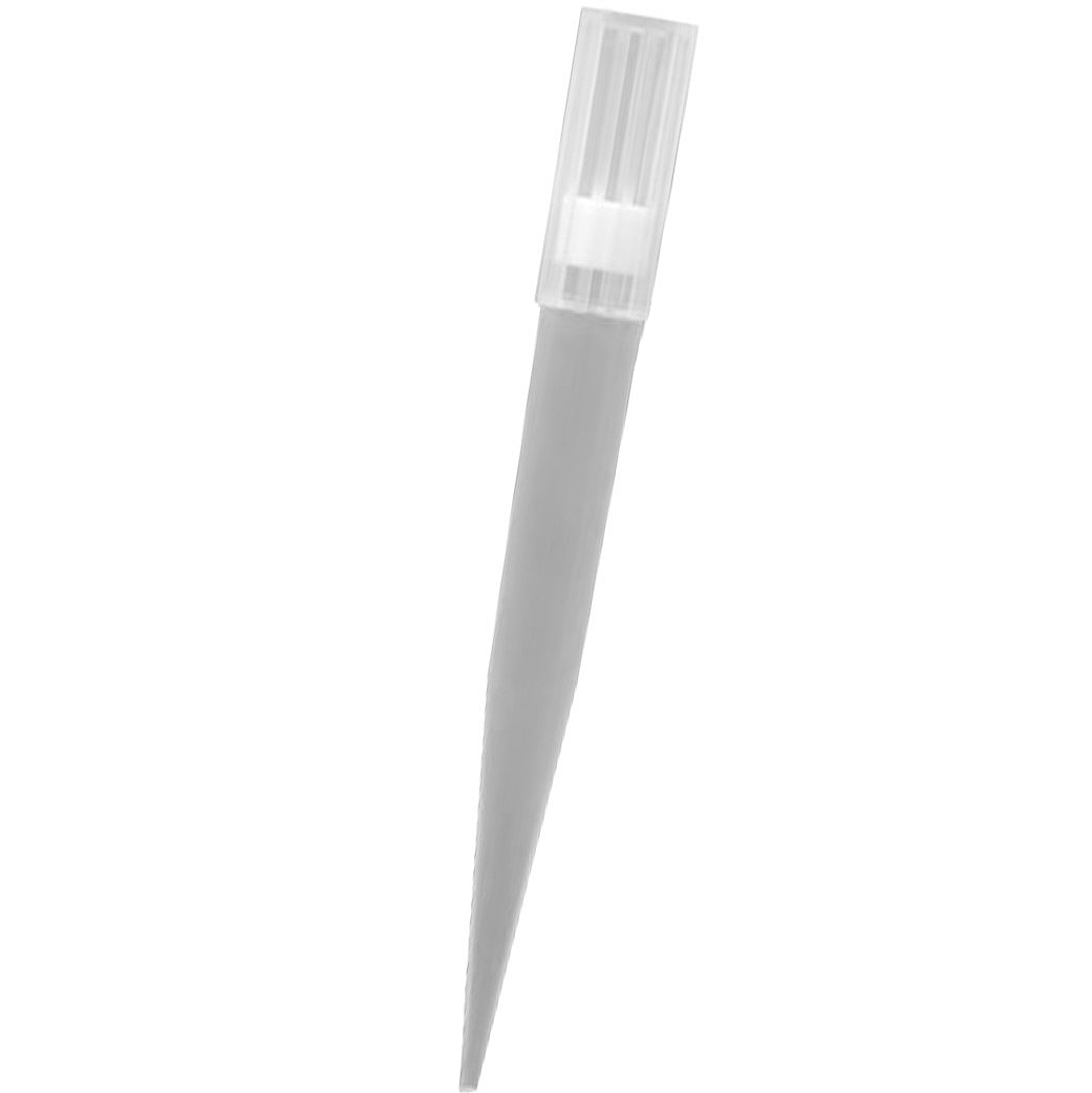 Rack 96 puntas Gilson estériles con filtro, micropipetas de 100-1000 microlitros Rack 96 puntas Gilson estériles con filtro, micropipetas de 100-1000 microlitros