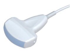 Sonda convexa C361-2, 2,5 / 3,5 / 4,5 / H2,5 / H2,7 MHz (abdomen, OB/GYN, urología). Ángulo escaneo: 60º Sonda convexa C361-2, 2,5 / 3,5 / 4,5 / H2,5 / H2,7 MHz (abdomen, OB/GYN, urología). Ángulo escaneo: 60º