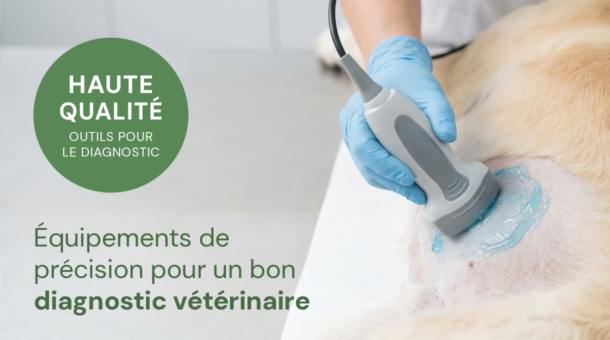 Vétérinaire