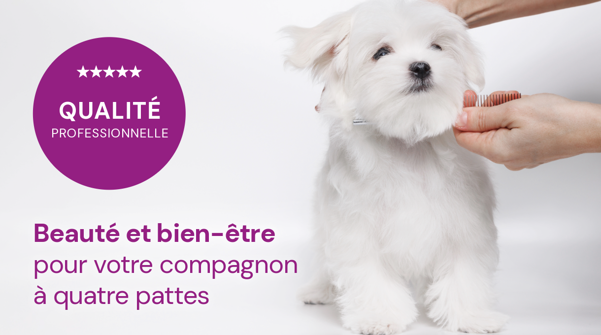 Vétérinaire