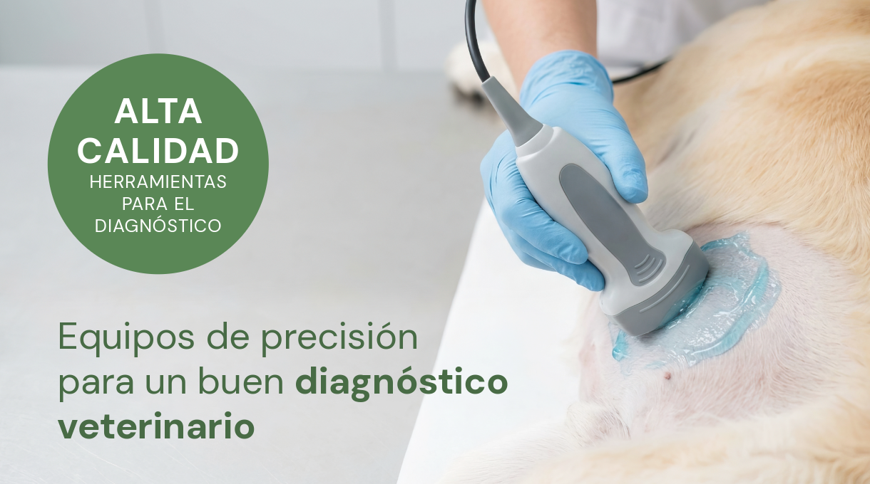 Veterinaria