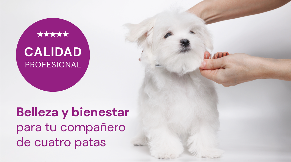 Veterinaria