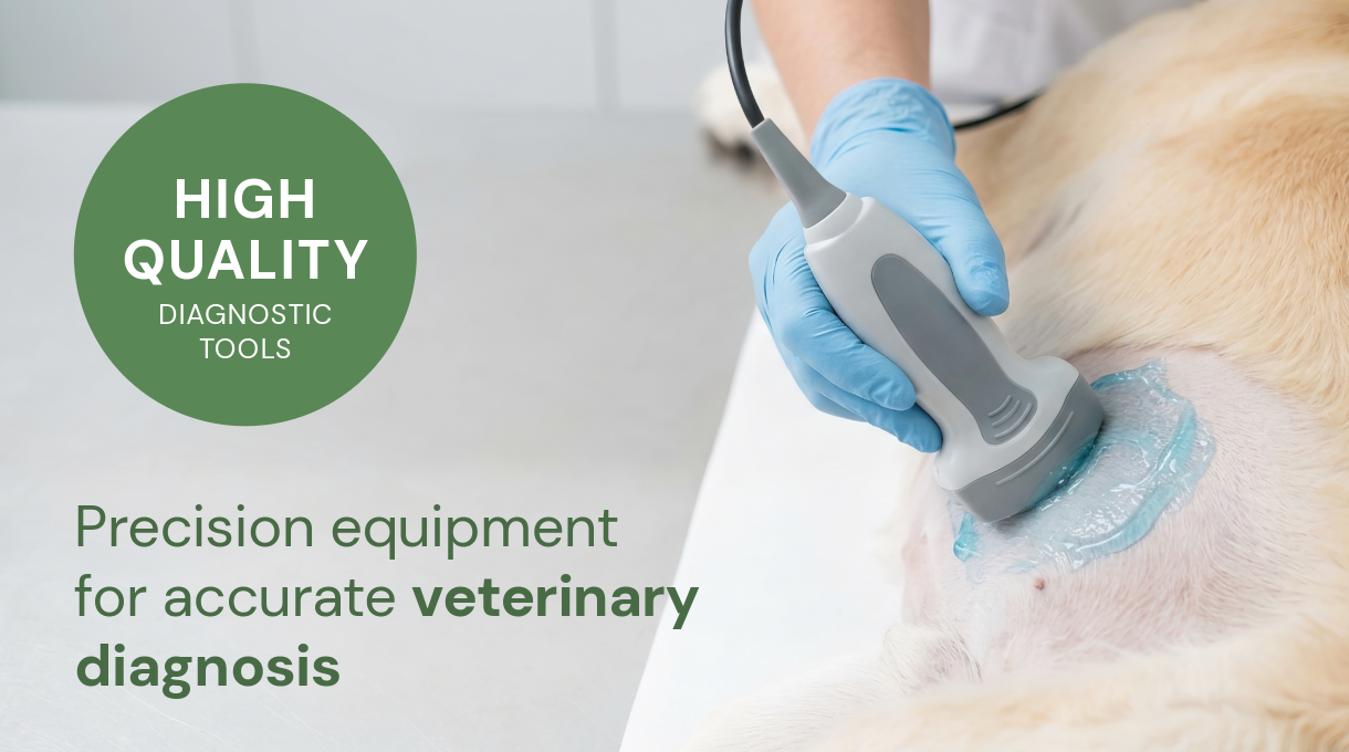 Veterinary