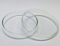 Placa de Petri soplada en Pyrex 100 x 20 mm esterilizable