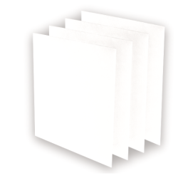 Pack de 2 reforços de carbono AeraMax Pro AM-II