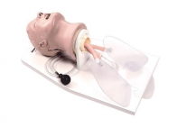 Simulador para gestión de las vías respiratorias de adulto "Airway Larry" | INTUBACIÓN